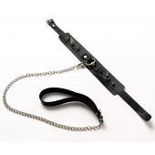 Черный ошейник с шипами и поводком - Crazy Handmade - купить с доставкой в Коломне