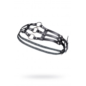 Черный кожаный пояс с кольцами - Pecado - купить с доставкой в Коломне