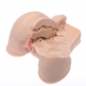 Мастурбатор-полуторс Naked Factory Kate - Naked Factory - в Коломне купить с доставкой