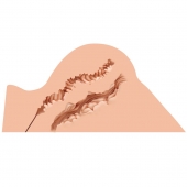 Мастурбатор-полуторс Naked Factory Hannah - Naked Factory - в Коломне купить с доставкой