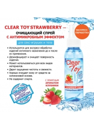 Очищающий спрей для игрушек CLEAR TOY Strawberry - 100 мл. - Биоритм - купить с доставкой в Коломне