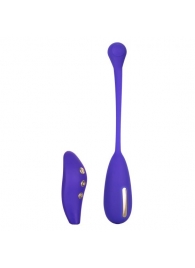 Фиолетовый шарик с электростимуляцией и вибрацией Intimate E-Stimulator Remote Kegel Exerciser - California Exotic Novelties - купить с доставкой в Коломне