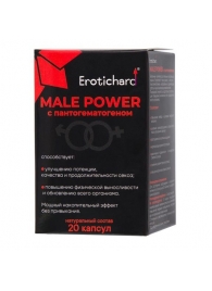 Капсулы для мужчин Erotichard male power с пантогематогеном - 20 капсул (0,370 гр.) - Erotic Hard - купить с доставкой в Коломне