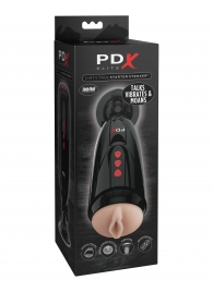 Мастурбатор-вагина с вибрацией Dirty Talk Starter Stroker - Pipedream - в Коломне купить с доставкой