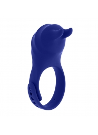 Синее эрекционное виброкольцо с клиторальной подушечкой и пультом ДУ Adjustable Fun Ring - Zero Tolerance - в Коломне купить с доставкой