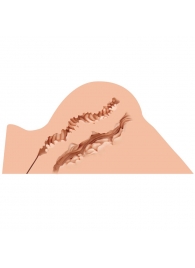 Мастурбатор-полуторс Naked Factory Hannah - Naked Factory - в Коломне купить с доставкой