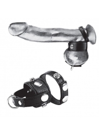 Утяжка для мошонки и пениса Cock Ring With 1  Ball Stretcher And Optional Weight Ring - BlueLine - купить с доставкой в Коломне