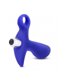 Синий стимулятор простаты с ручкой-кольцом Performance Prostimulator 02 - Blush Novelties - в Коломне купить с доставкой