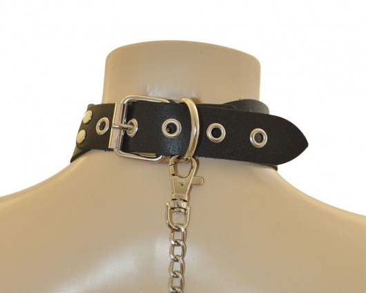 Ошейник  Веселый Роджер - Sitabella - купить с доставкой в Коломне