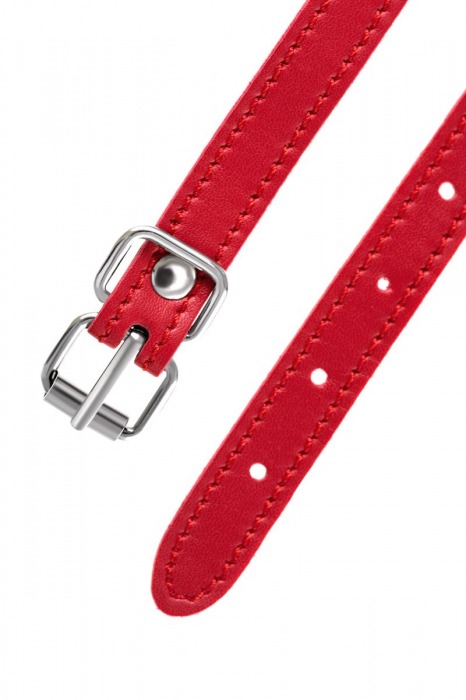 Красная маска Anonymo из искусственной кожи - ToyFa - купить с доставкой в Коломне