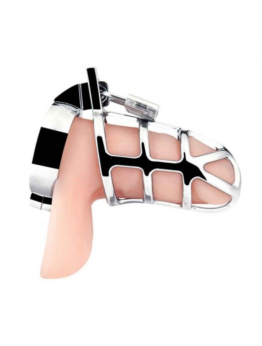 Серебристая металлическая клетка для члена с замком Enslave Cock Cage - BlueLine - купить с доставкой в Коломне