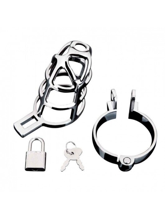 Серебристая металлическая клетка для члена с замком Enslave Cock Cage - BlueLine - купить с доставкой в Коломне