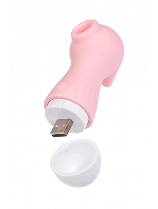 Розовый вакуум-волновой стимулятор Ixora - ToyFa