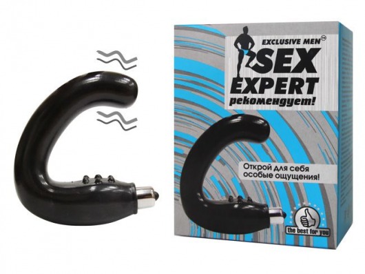 Чёрный массажёр простаты серии Sex Expert - Sex Expert - в Коломне купить с доставкой