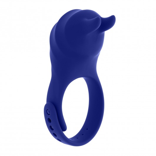 Синее эрекционное виброкольцо с клиторальной подушечкой и пультом ДУ Adjustable Fun Ring - Zero Tolerance - в Коломне купить с доставкой