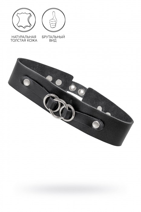 Черный чокер-ошейник со связанными кольцами на подложке - Pecado - купить с доставкой в Коломне