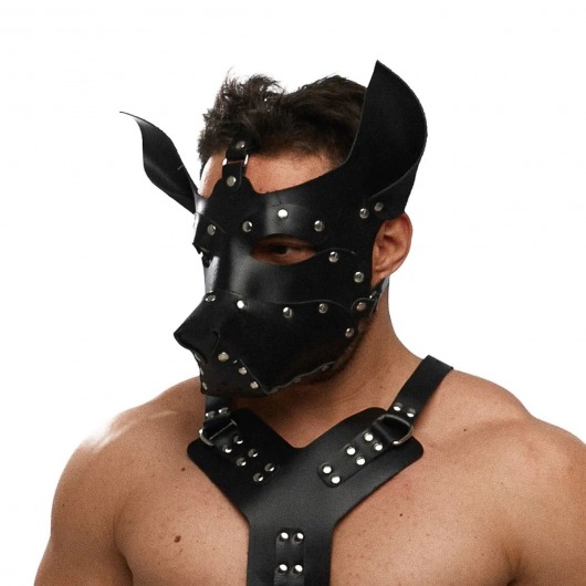 Черная кожаная маска «Собака» - Crazy Handmade - купить с доставкой в Коломне