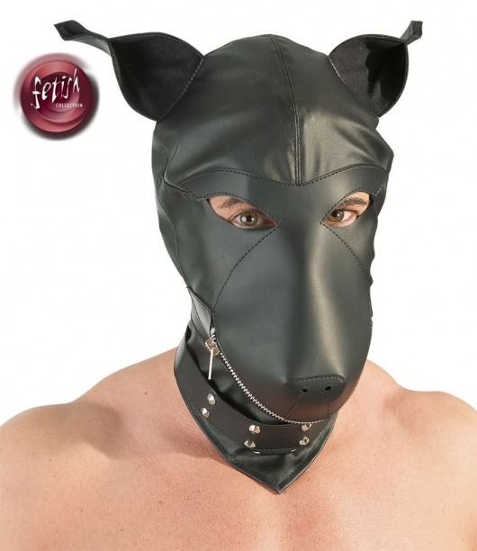 Шлем-маска Dog Mask в виде морды собаки - Orion - купить с доставкой в Коломне