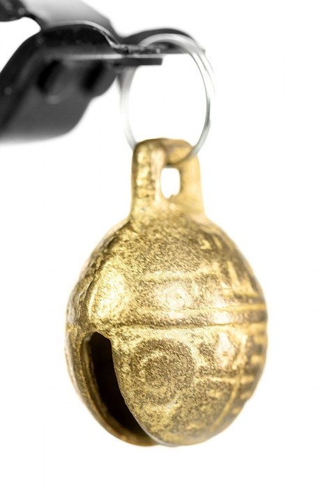 Черно-золотистые зажимы для сосков TOYFA Theatre - ToyFa - купить с доставкой в Коломне