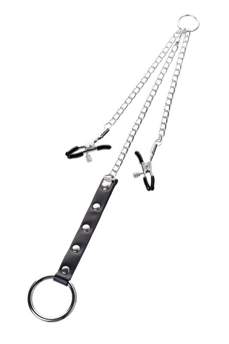 Серебристо-чёрные зажимы для сосков с кольцом для пениса TOYFA Metal - ToyFa - купить с доставкой в Коломне