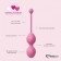 Набор из 3 розовых вагинальных шариков FemmeFit Advanced Pelvic Muscle Training Set - FeelzToys в Коломне Набор из 3 розовых вагинальных шариков FemmeFit Advanced Pelvic Muscle Training Set - FeelzToys